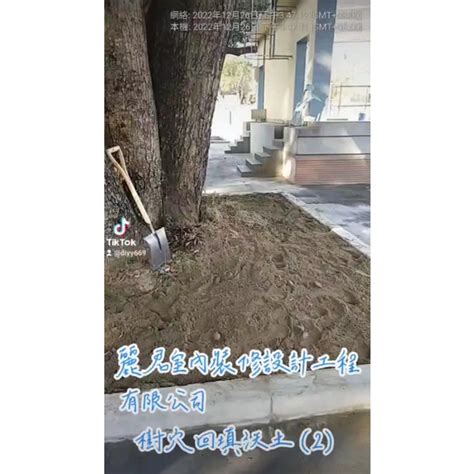 樹穴設計|栽植規劃考量 樹種規劃不佳 樹穴設計不良